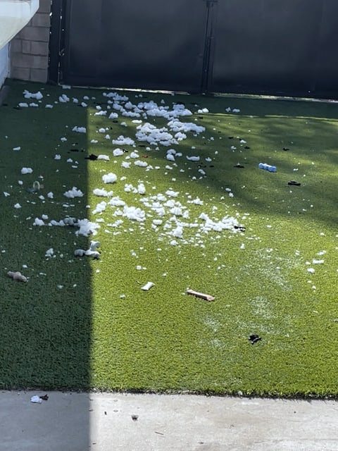 Before: backyard