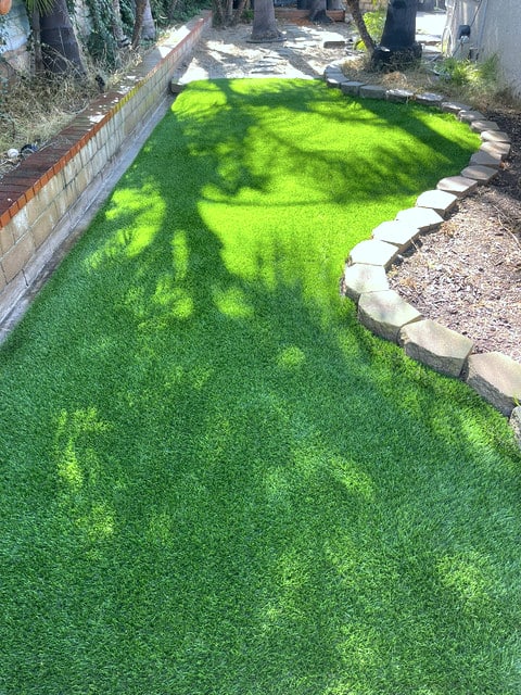 After: backyard section reset