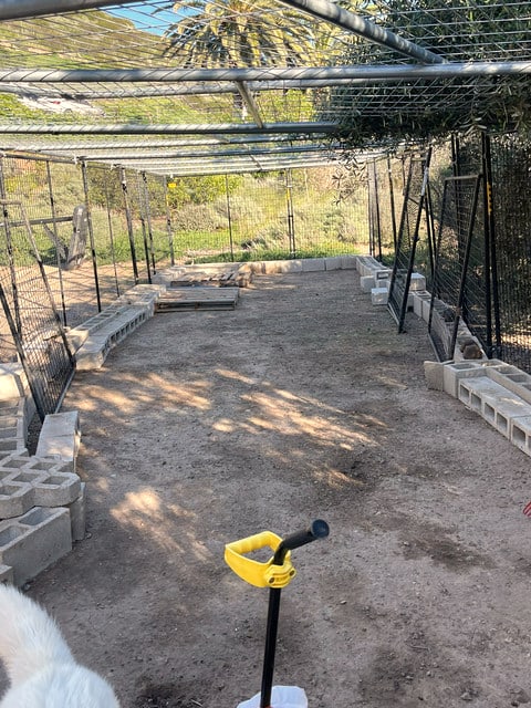 After: dog enclosure