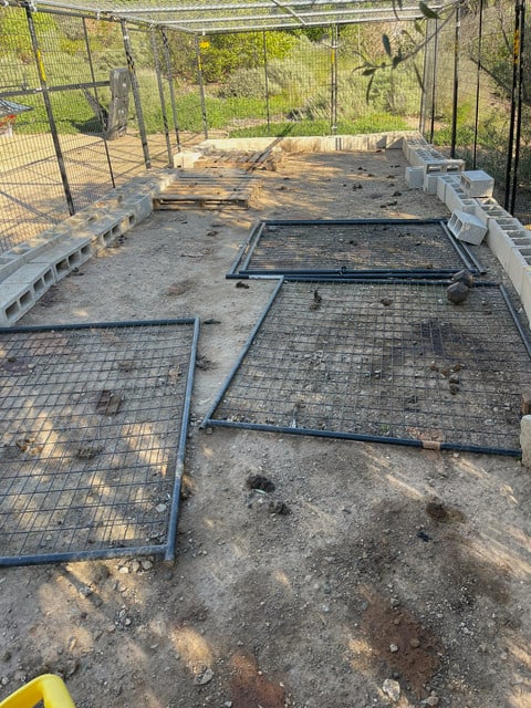 Before: dog enclosure