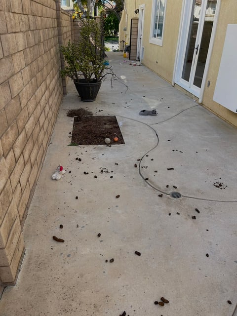 Before: paved dog run restored