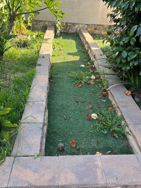Before: small section spot clean