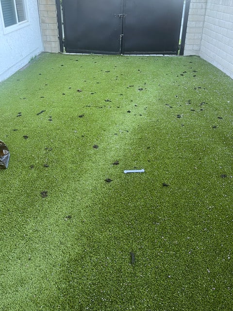 Before: artificial turf treatment