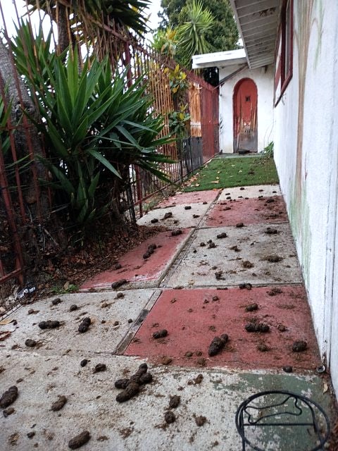 Before: neglected walkway restored